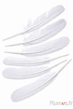 Cygne - 30-33 cm - blanc